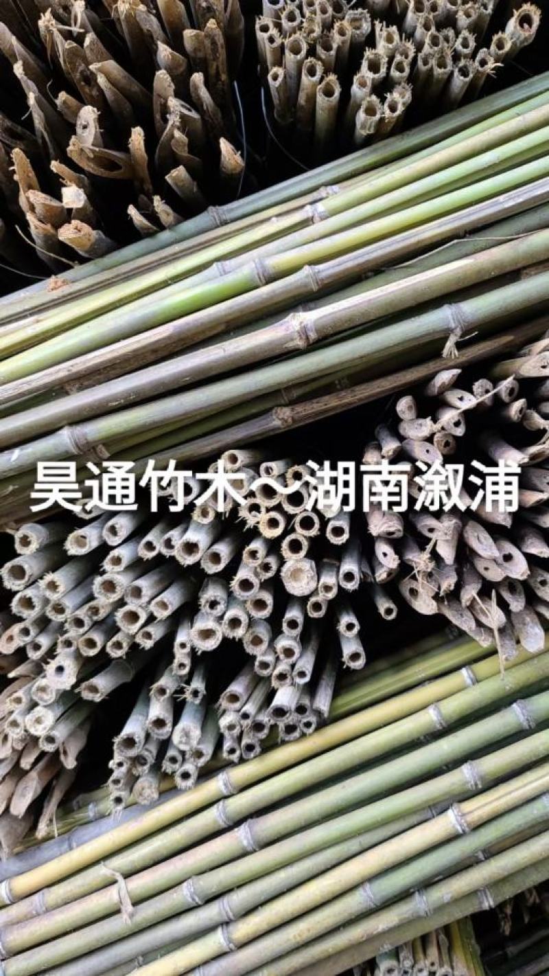 2.4米～2.5米菜架竹、小竹竿、竹架条、金竹、铁竹