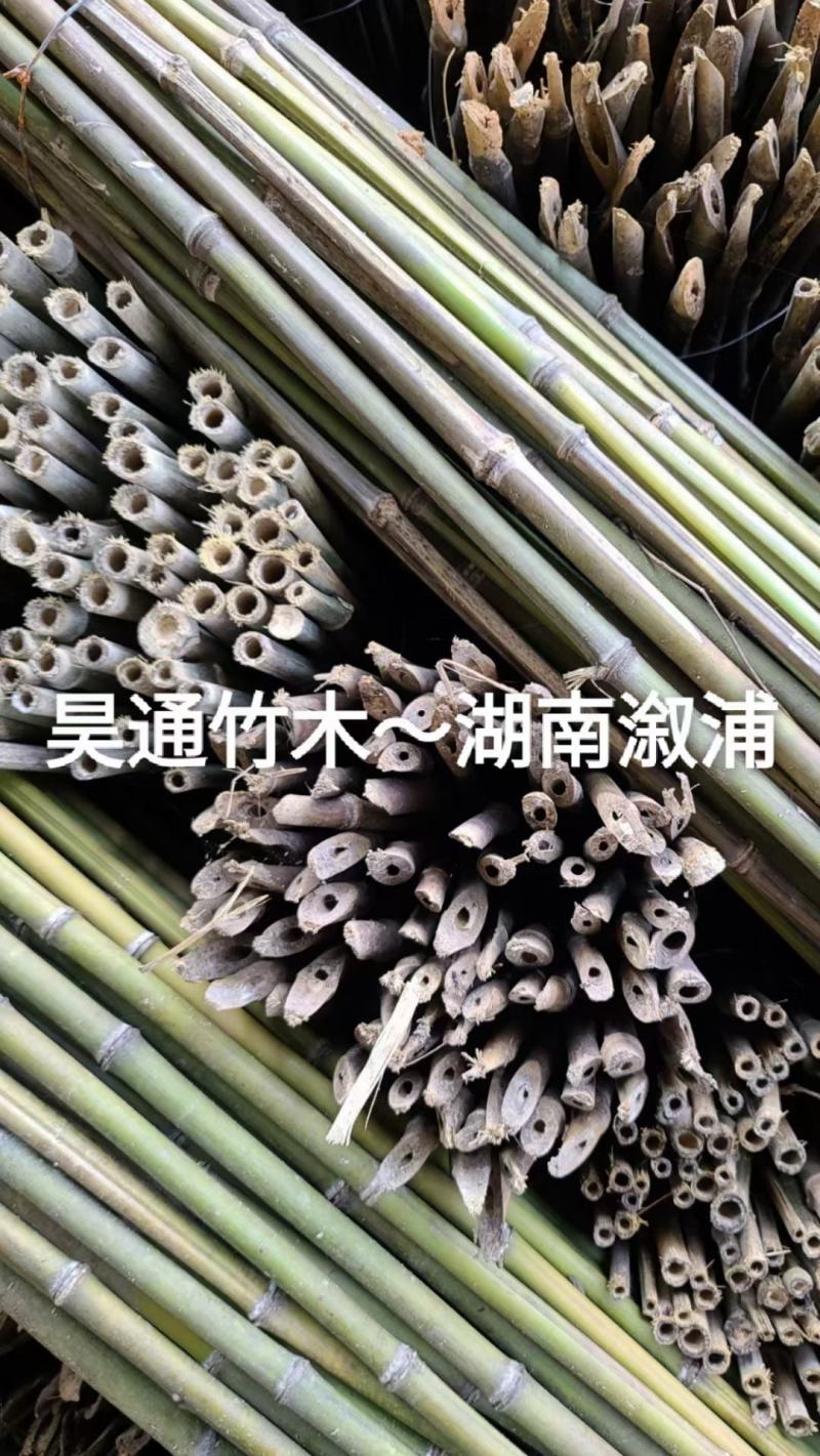 2.4米～2.5米菜架竹、小竹竿、竹架条、金竹、铁竹