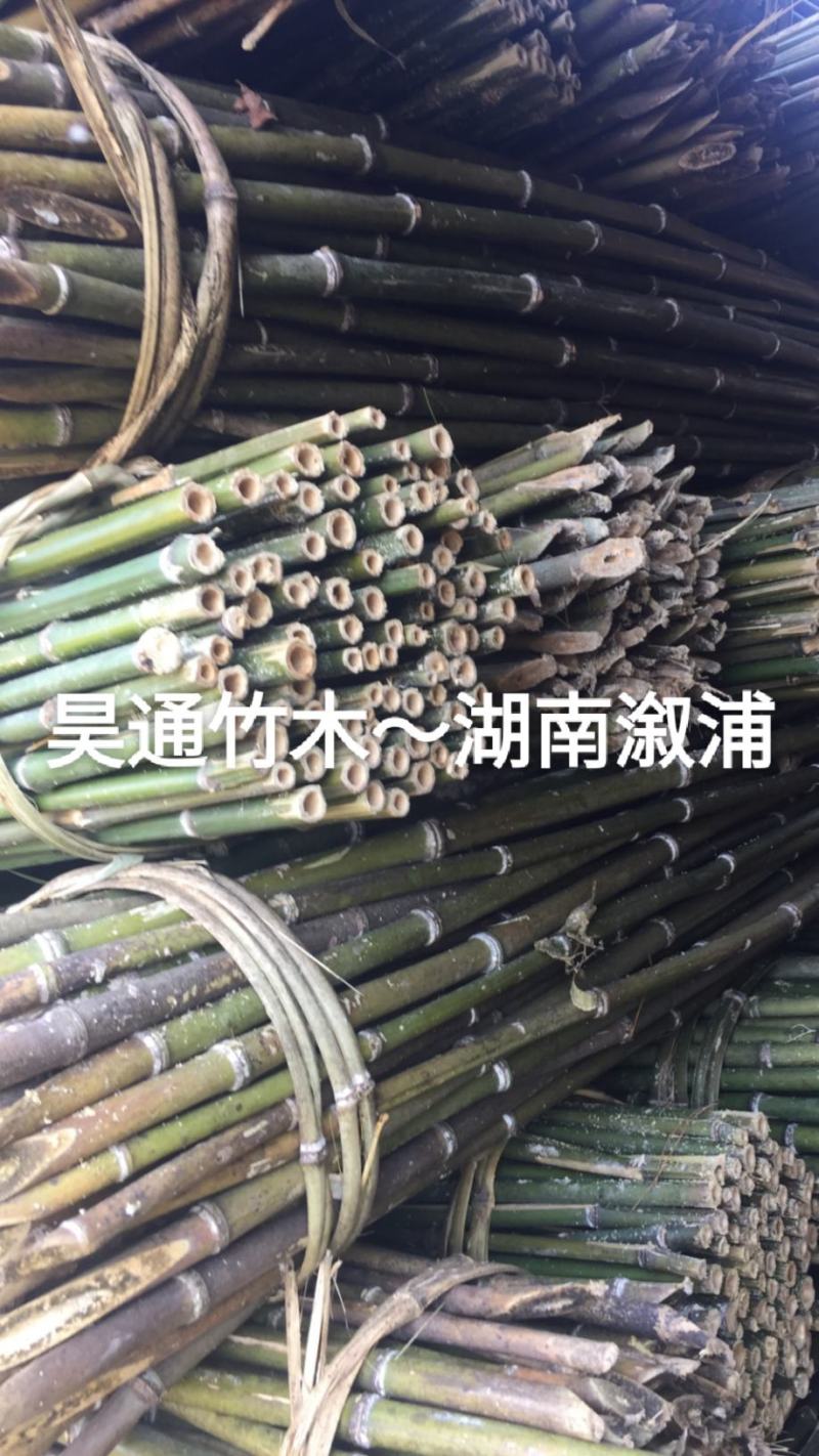 2.4米～2.5米菜架竹、小竹竿、竹架条、金竹、铁竹