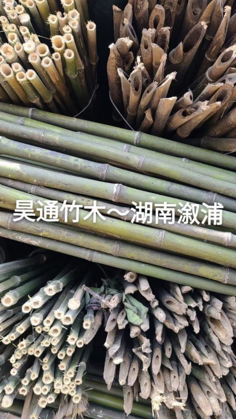 2.4米～2.5米菜架竹、小竹竿、竹架条、金竹、铁竹