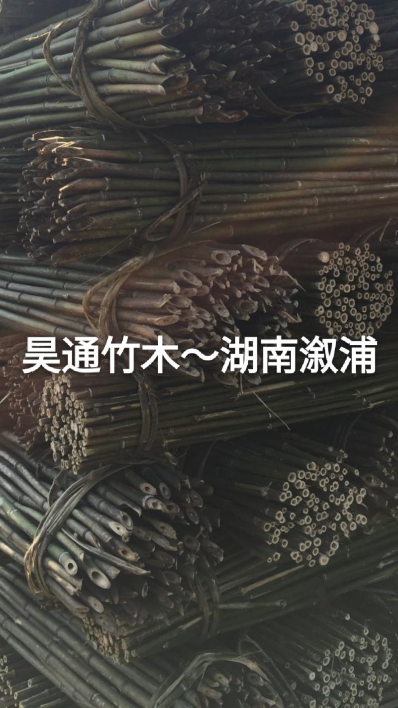 2.4米～2.5米菜架竹、小竹竿、竹架条、金竹、铁竹
