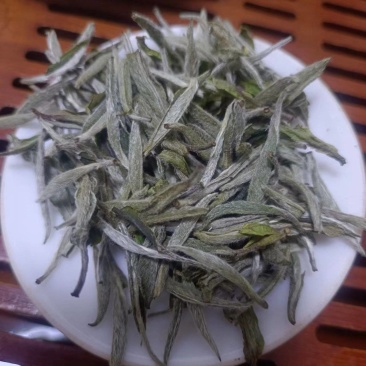 福鼎大白