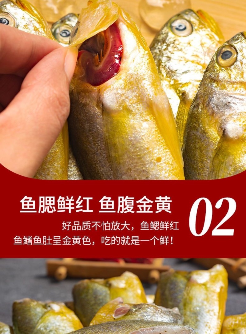 海捕小黄鱼新鲜速冻