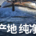 海捕小黄鱼新鲜速冻