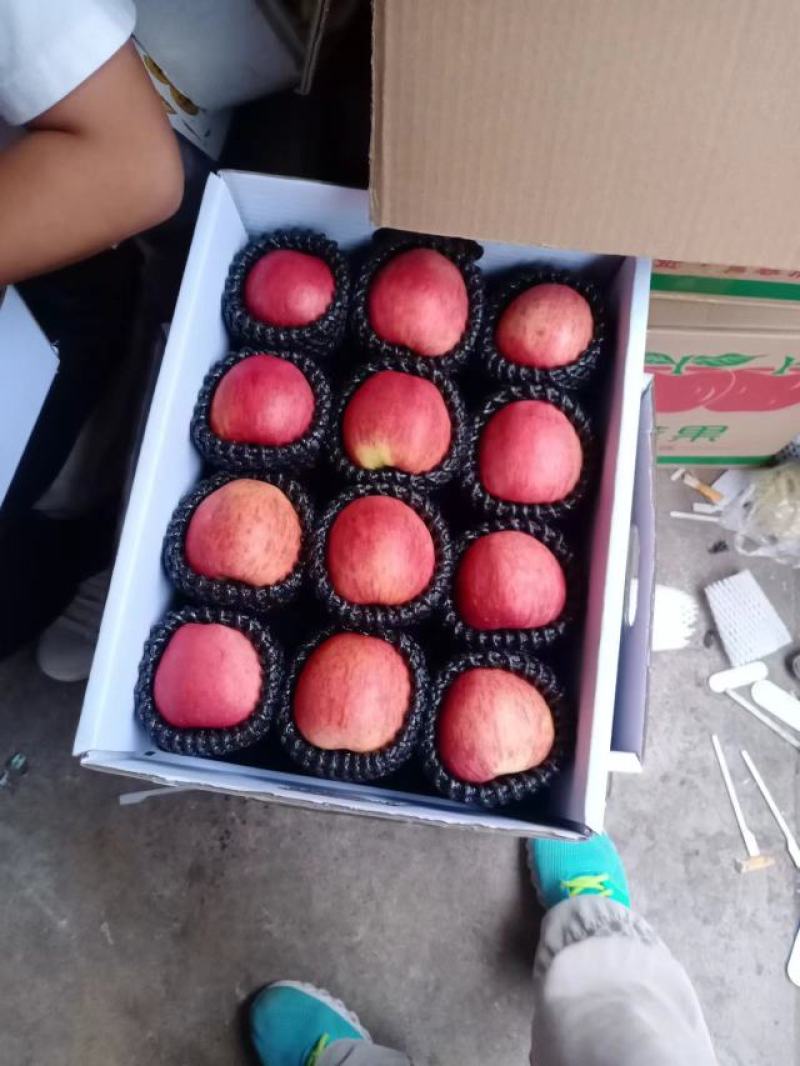 昭通苹果