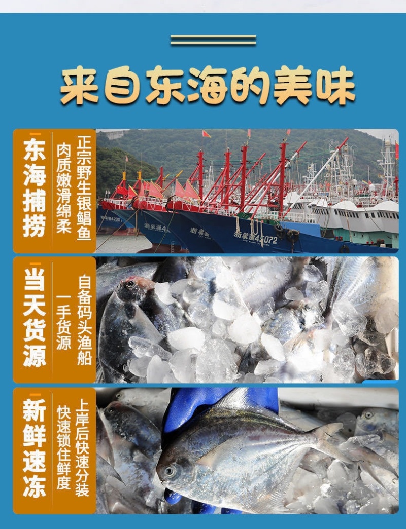 海捕鲳鱼新鲜速冻银鲳鱼无冰白鲳鱼pifa