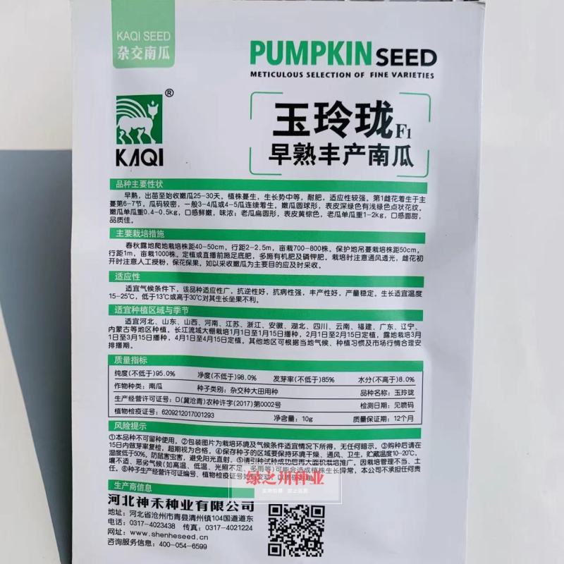 卡其玉玲珑早熟丰产南瓜种子一串玲南瓜种子表皮深绿色