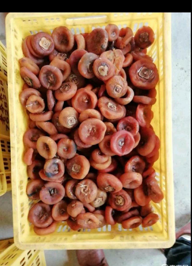 广西桂林平乐优质圆饼，货源充足，欢迎砸单，质量把控