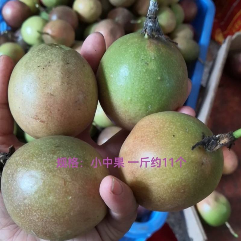 广西百香果产地直供新鲜一件代发批发大中小果45-100克