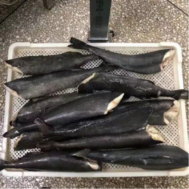 黑鳕鱼阿拉斯加原装正品奶油鱼