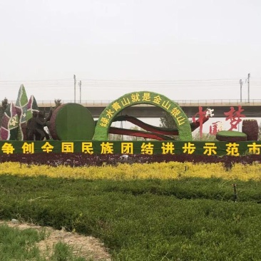 出售胡杨、沙柳、红柳、沙枣、沙棘、砂生槐【基地直营】
