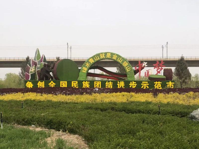 出售胡杨、沙柳、红柳、沙枣、沙棘、砂生槐【基地直营】