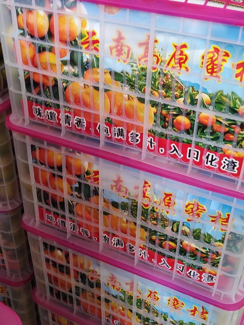 云南蜜橘