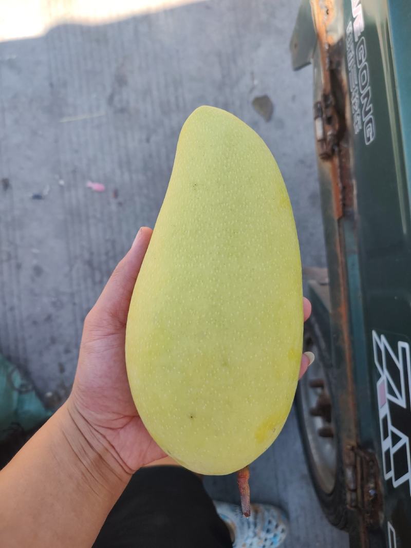 代发各累芒果