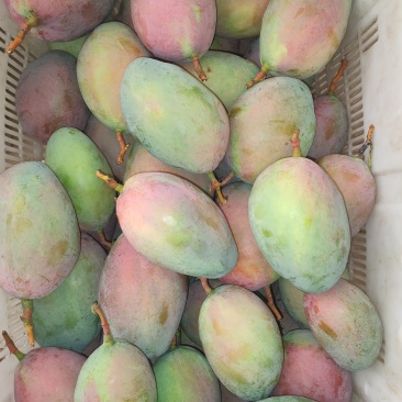 代发各累芒果