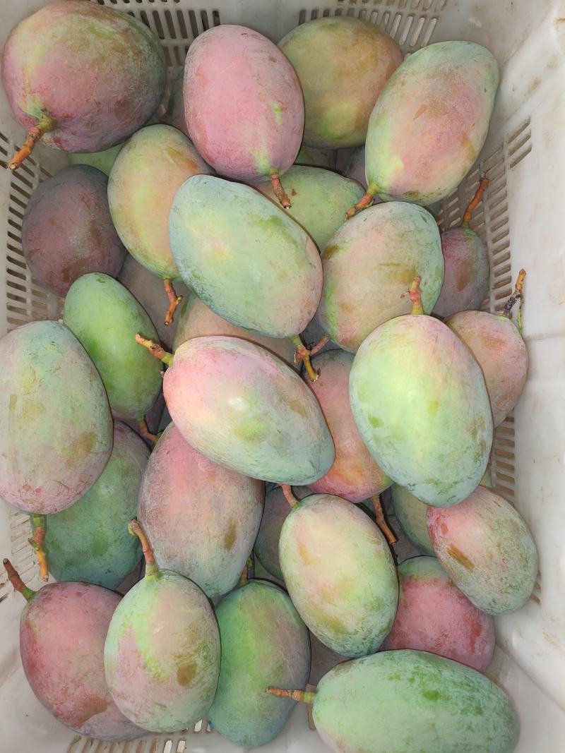 代发各累芒果