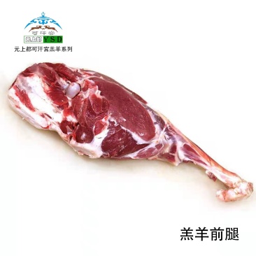 内蒙古包头达茂旗羔羊前腿