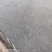 销售：黑鱼苗，成品黑鱼