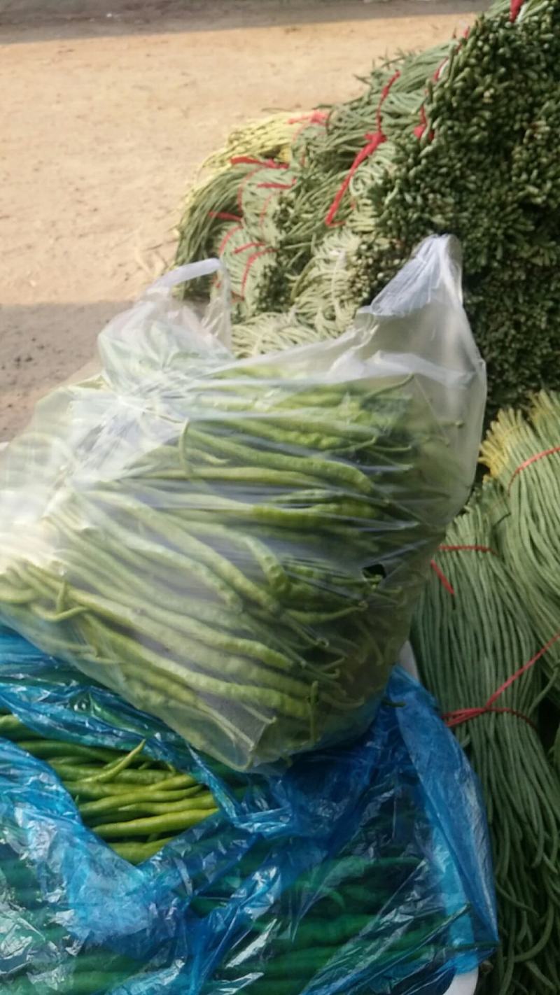 线椒马上上市，有需要的老板联系我！期待与你合作