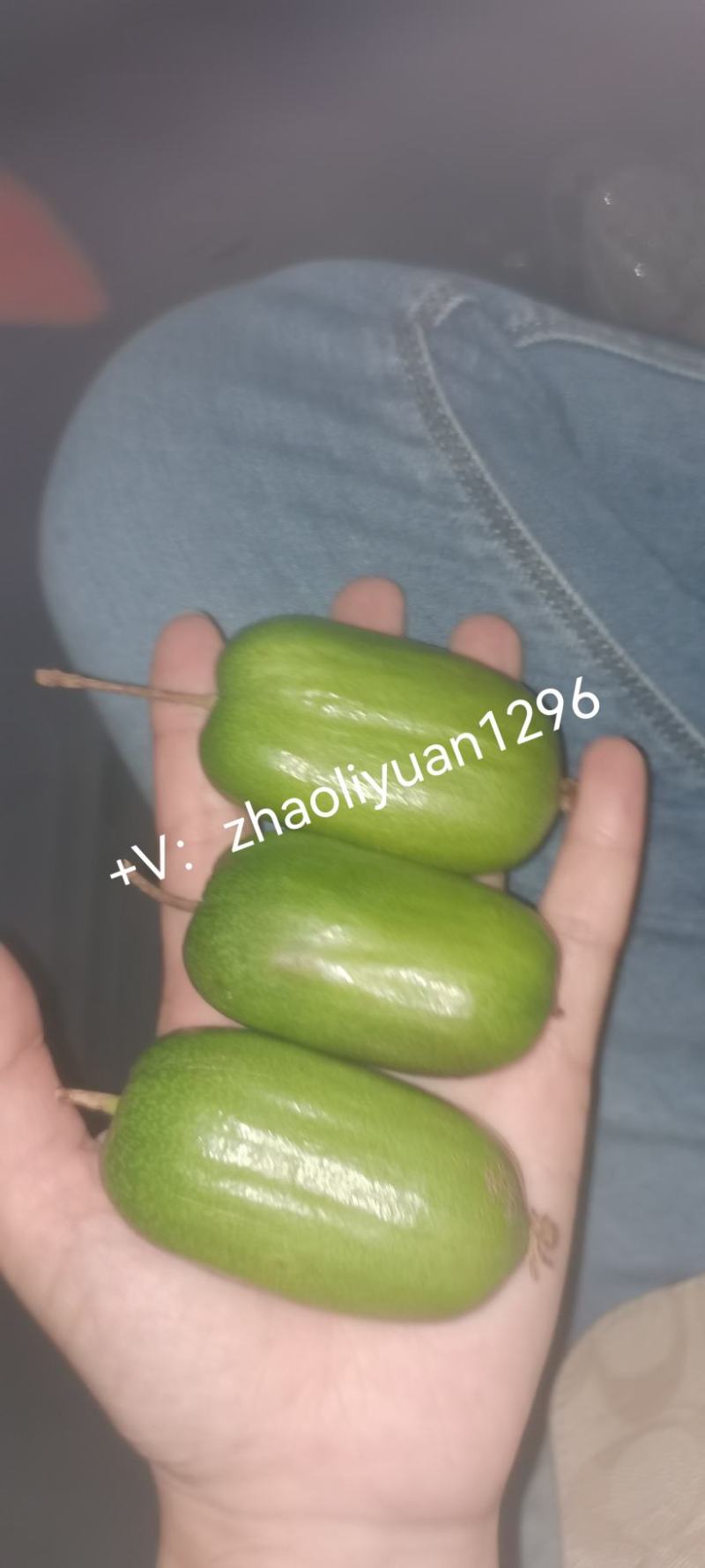丹东软枣子猕猴桃奇异果奇异莓新鲜水果应季水果龙成二号现