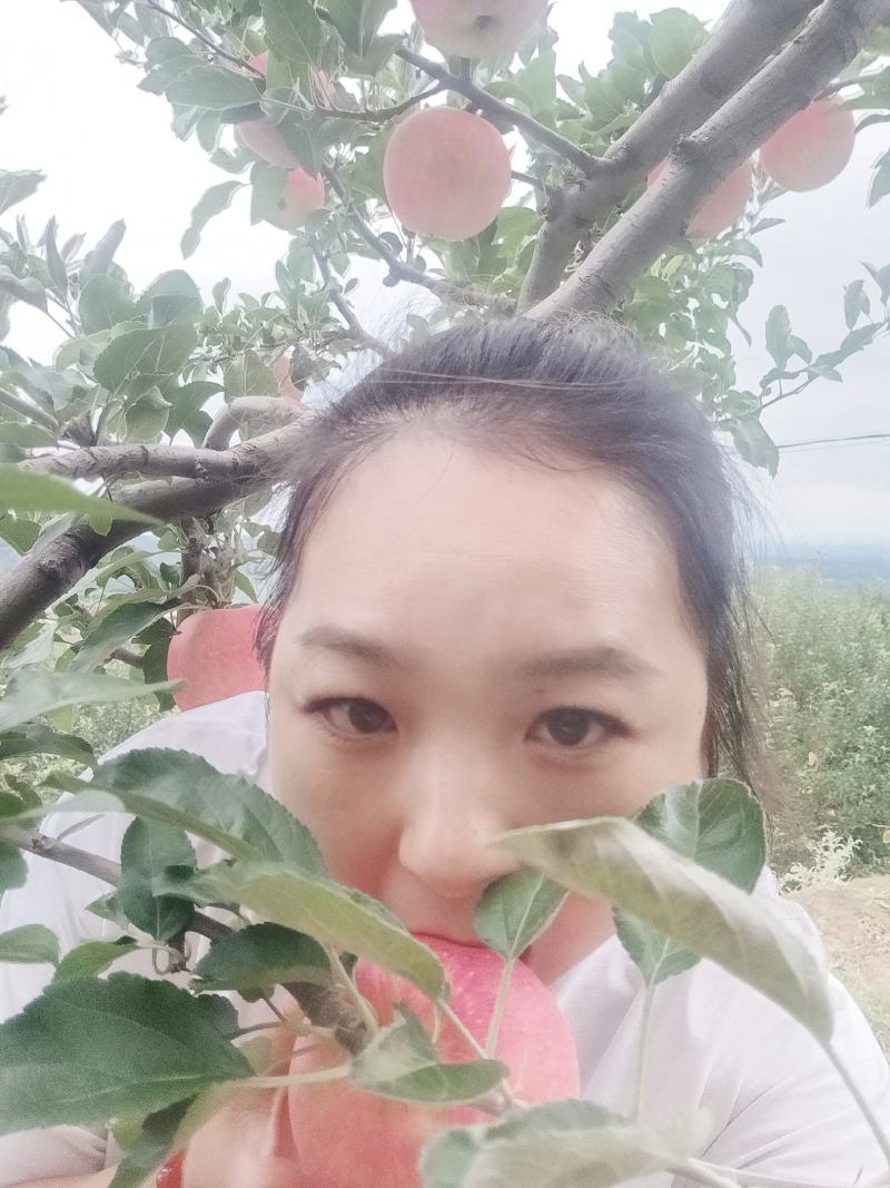 嘎啦苹果