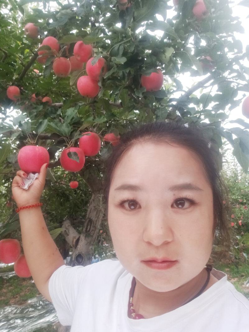 嘎啦苹果