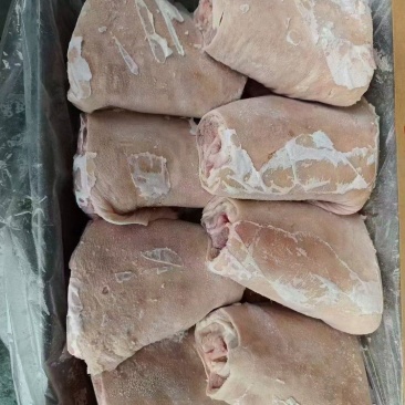 肥猪肘子