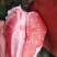 云南三红蜜柚红心柚红心红肉蜜柚多水多汁口感爆甜
