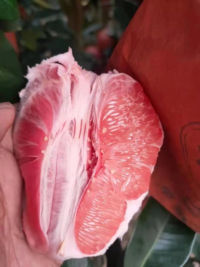 云南三红蜜柚红心柚红心红肉蜜柚多水多汁口感爆甜