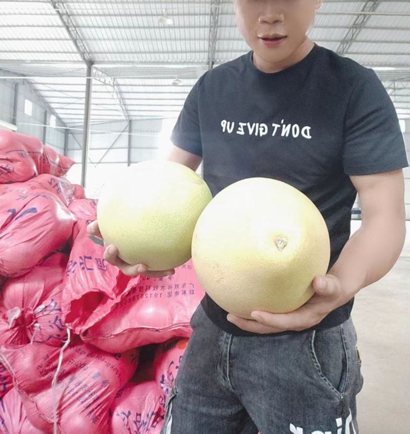 云南三红蜜柚红心柚红心红肉蜜柚多水多汁口感爆甜