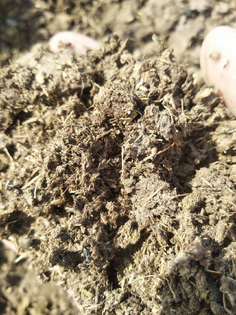 有机肥纯牛粪精品大草原的老牛粪量大从优品质保障