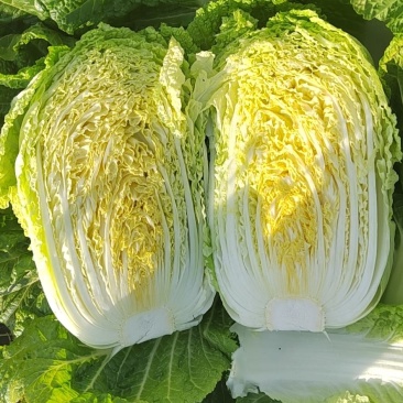 4-5-6市场菜