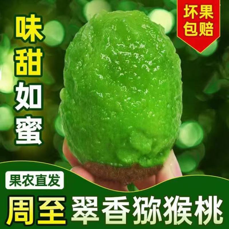 翠香猕猴桃猕猴桃中的战斗机秦岭山脉的香甜水果。