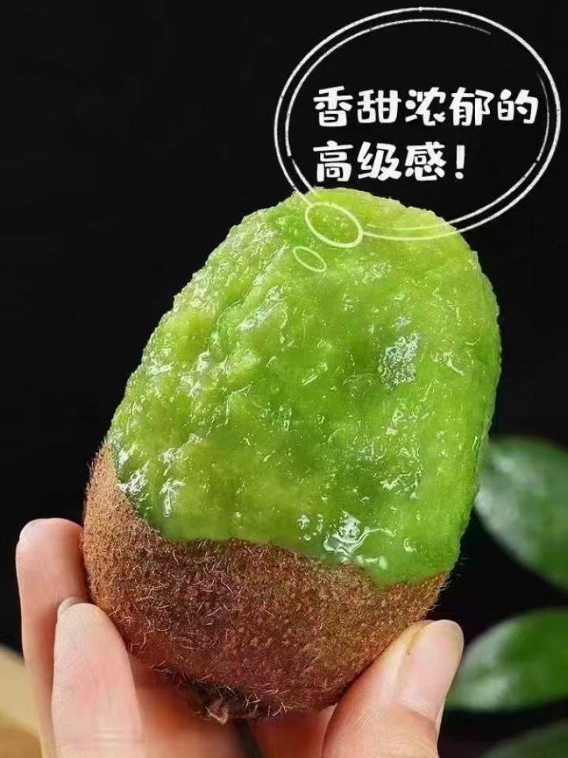 翠香猕猴桃猕猴桃中的战斗机秦岭山脉的香甜水果。