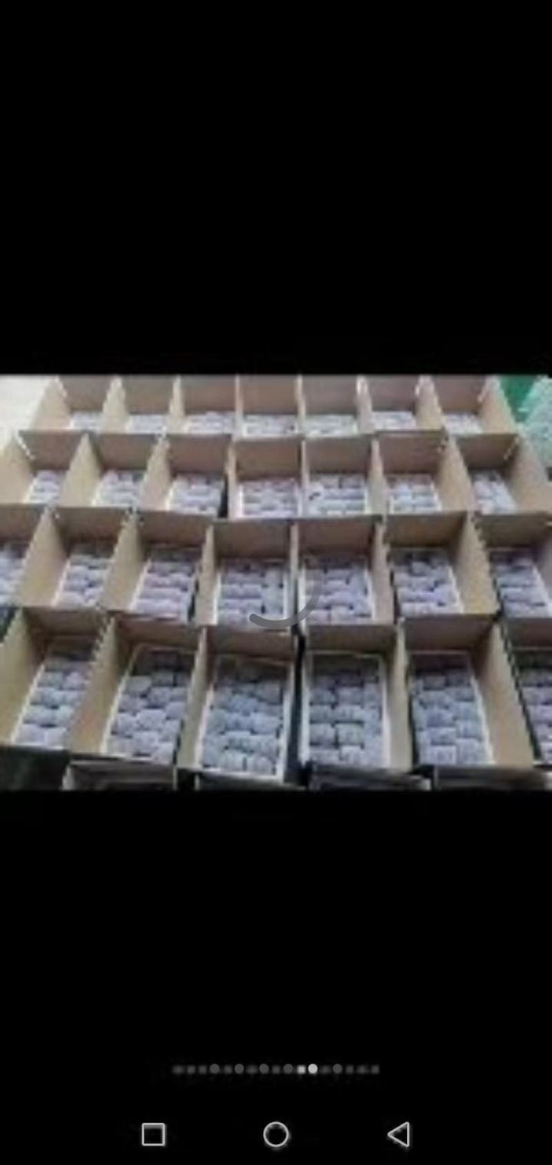 翠香猕猴桃猕猴桃中的战斗机秦岭山脉的香甜水果。