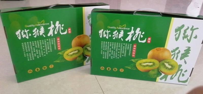 翠香猕猴桃猕猴桃中的战斗机秦岭山脉的香甜水果。
