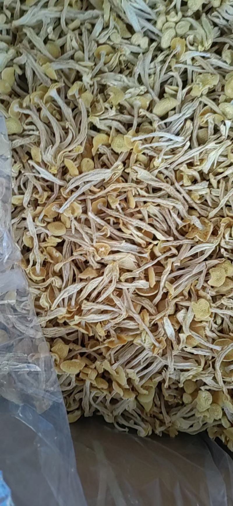 海鲜菇白玉菇蟹味菇原干产地批发大量原干净重