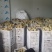 苍溪梨套袋黄金梨中国苍溪特产区黄金梨果面干净颜色漂亮