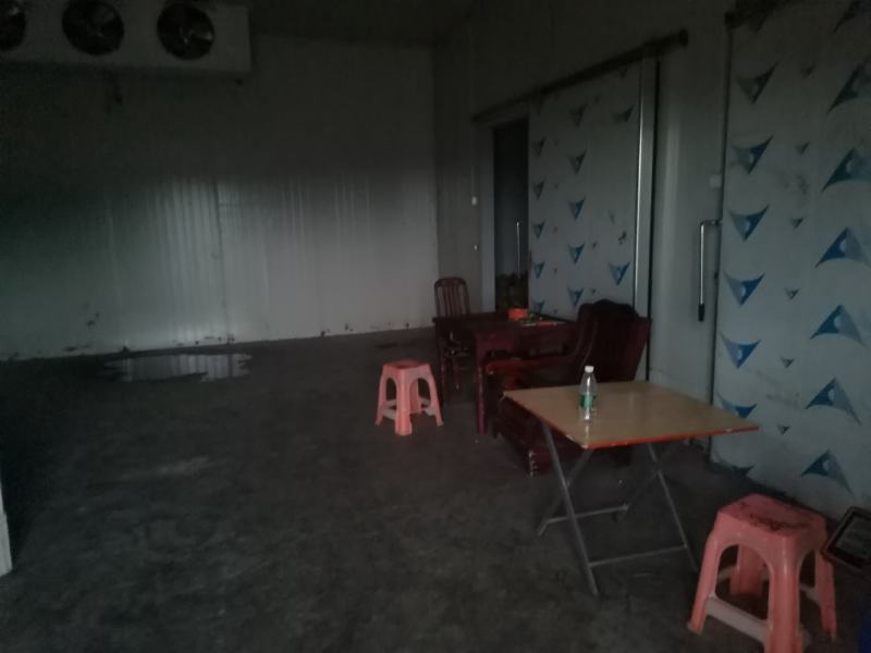 苍溪梨套袋黄金梨中国苍溪特产区黄金梨果面干净颜色漂亮