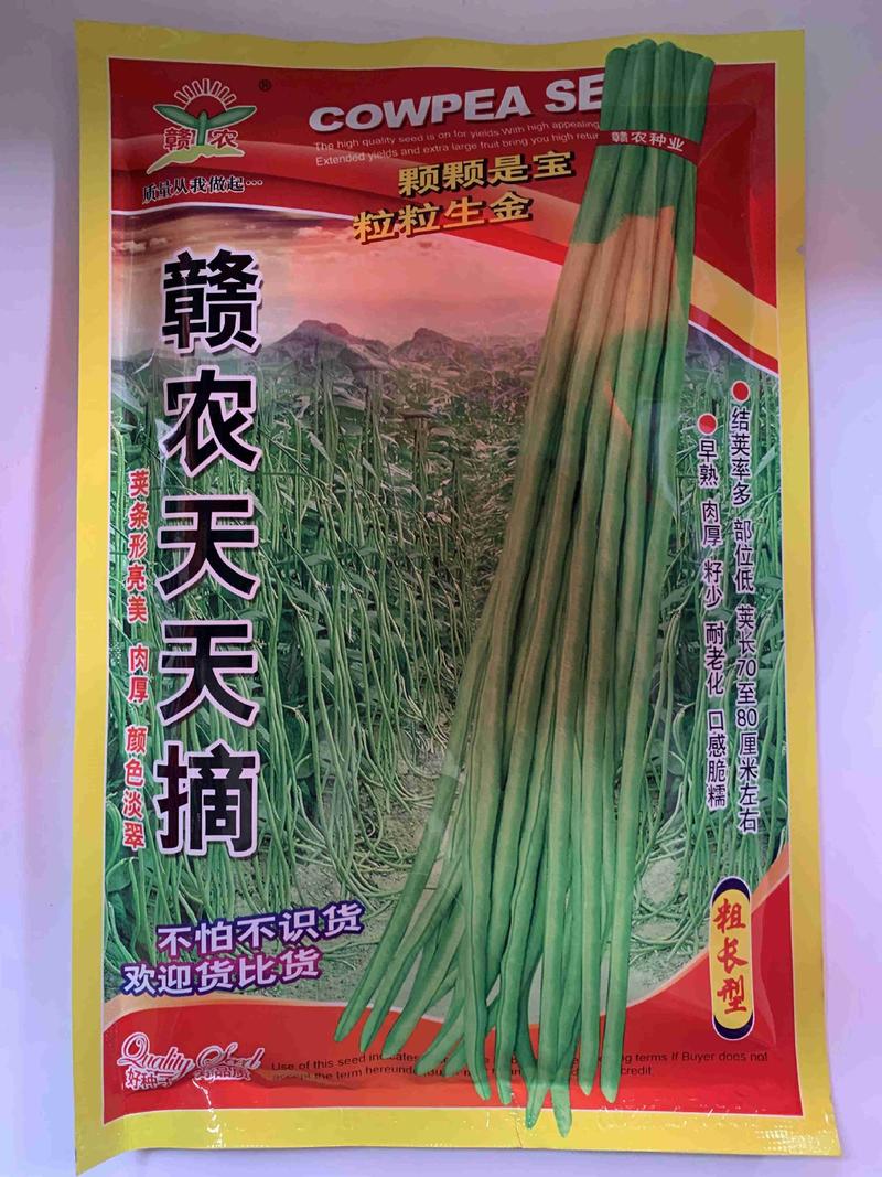 赣农天天摘豇豆种子，荚长80厘米左右