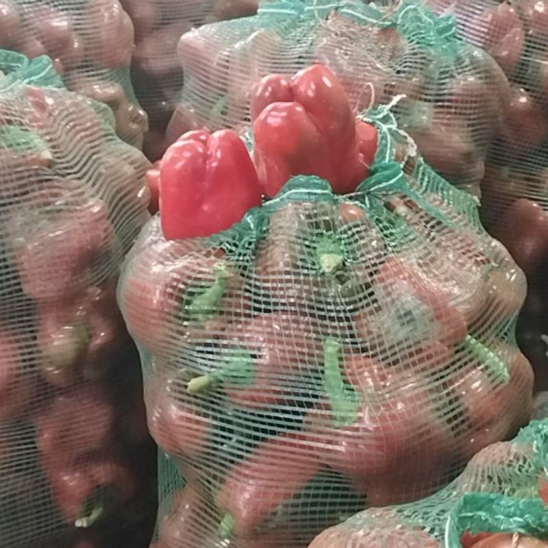 精选红椒