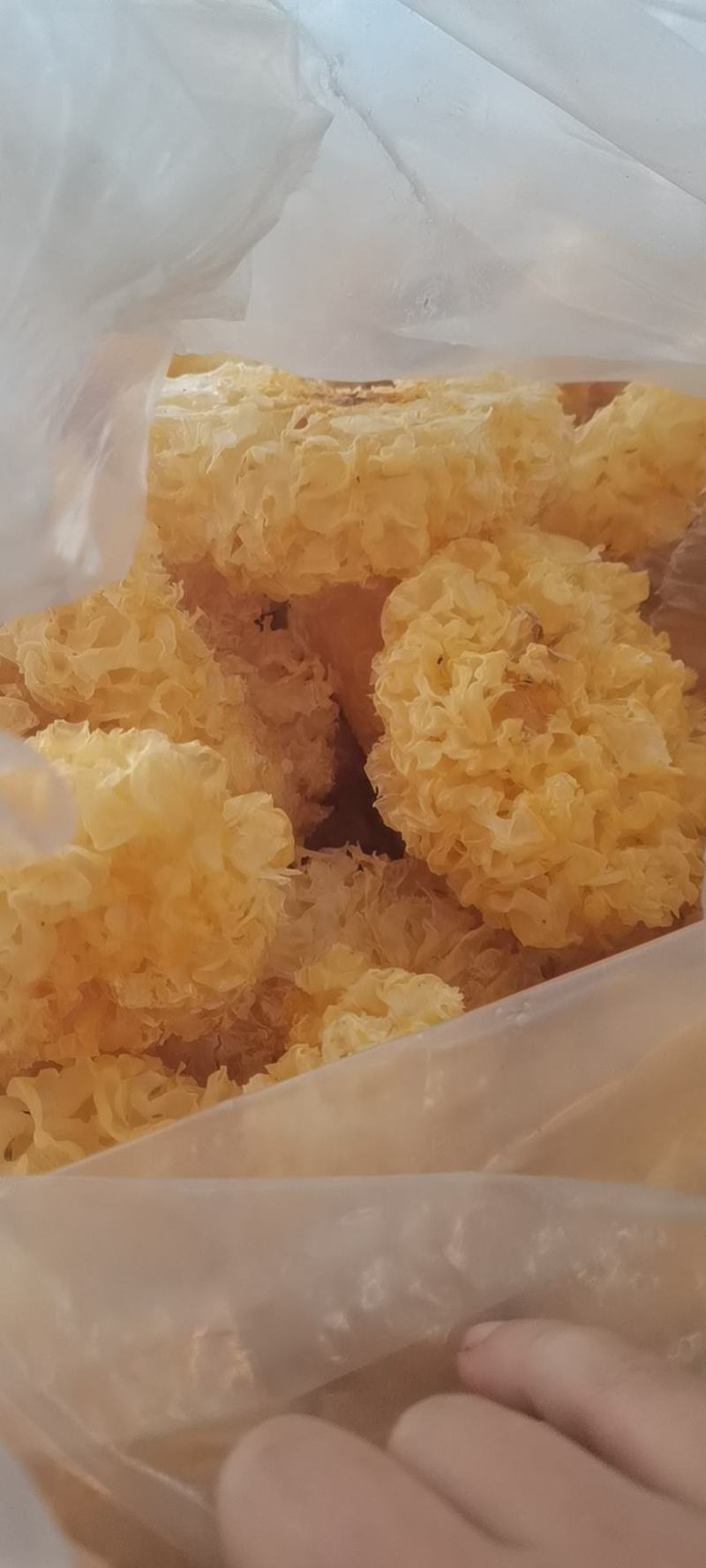 银耳古田大量现货产地批发原干净重，大量批发