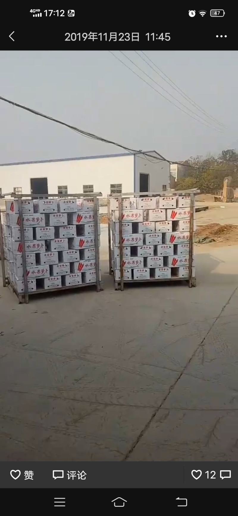 陕西大荔红萝卜中条小条各种规格