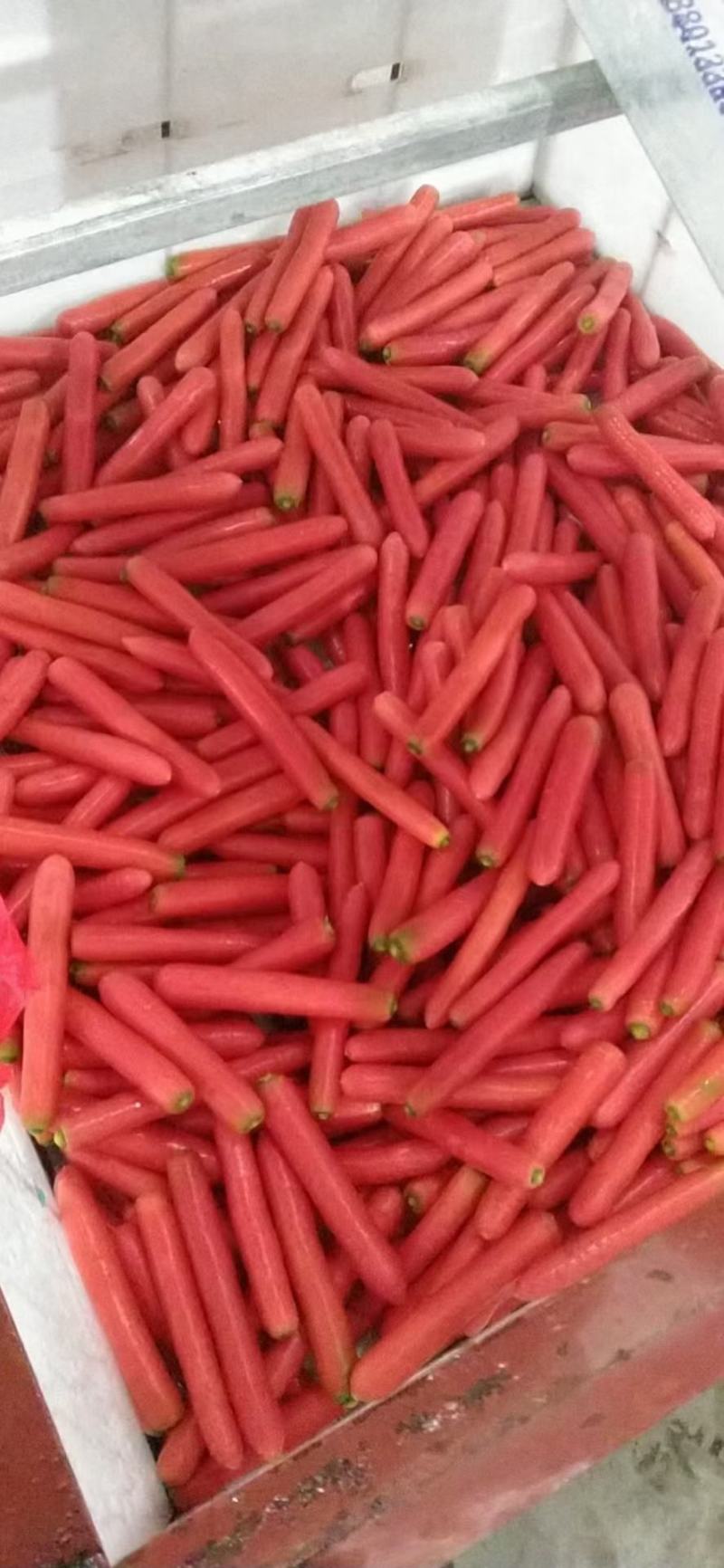 陕西大荔红萝卜中条小条各种规格