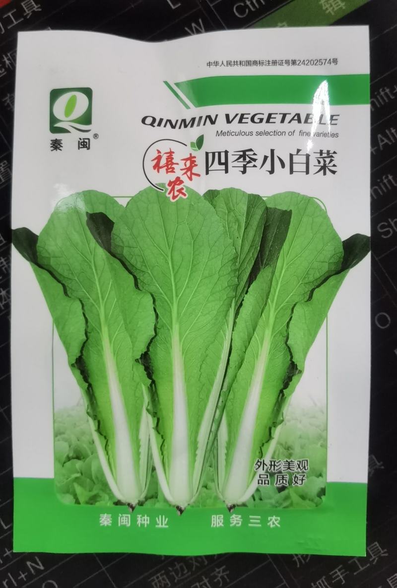 白帮小白菜种子四季播青菜种籽快菜籽农家庭院阳台盆栽蔬菜种