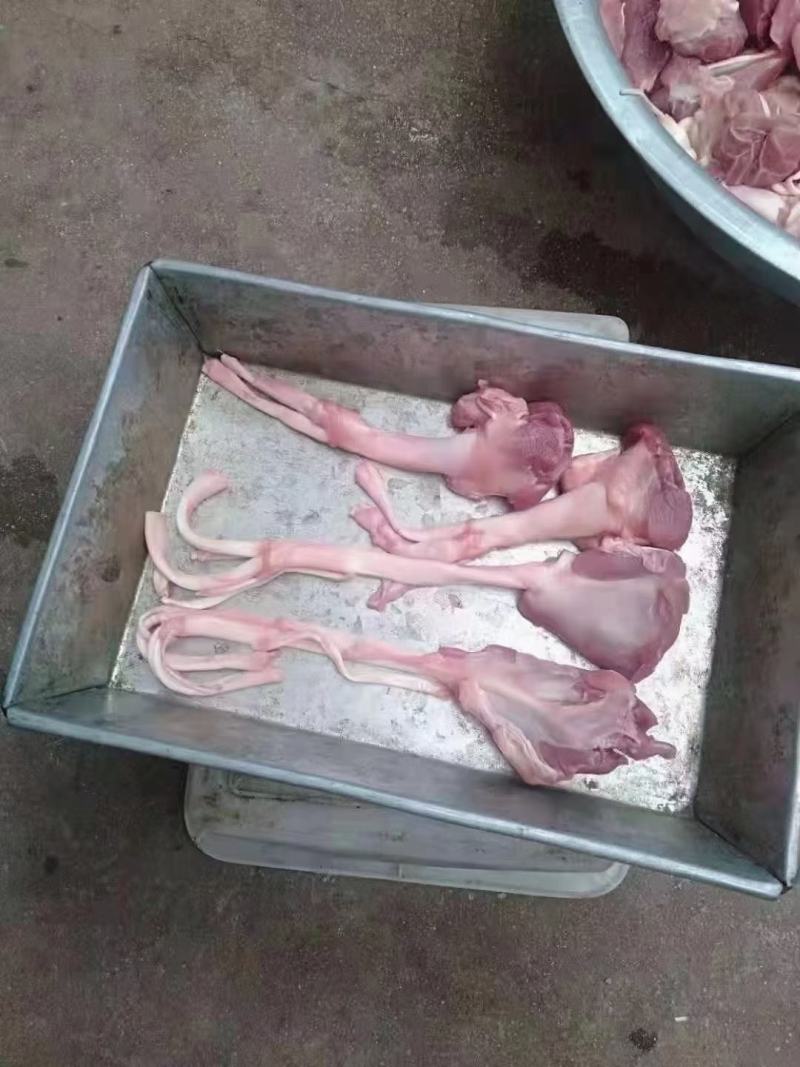 带肉头猪蹄筋