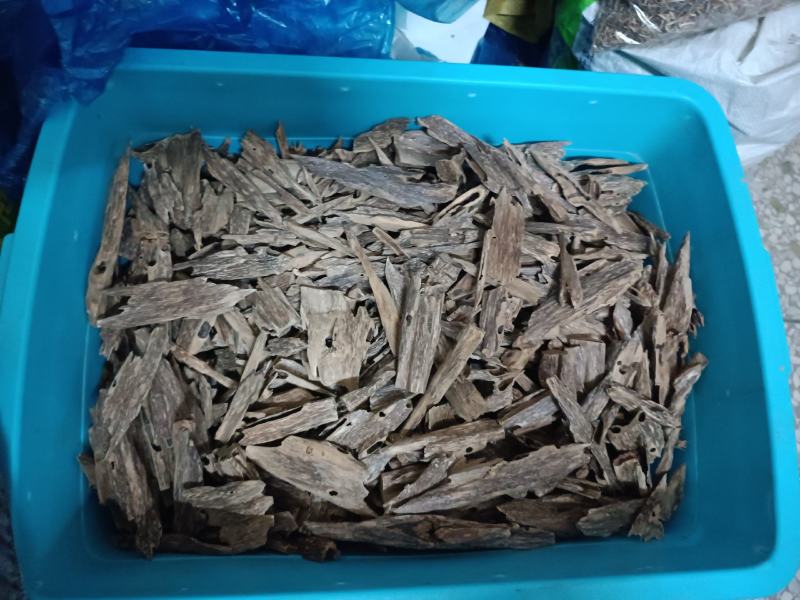 六靖沉香虫漏