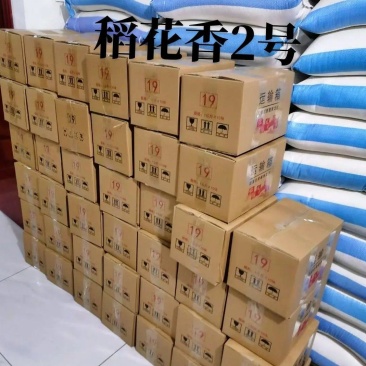 五常核心产区稻花香二号50斤白板
