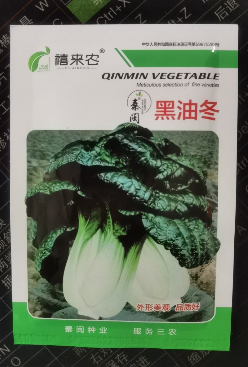 黑油白菜种子奶白菜乌塌小白菜种籽黑油冬种籽四季播农家蔬菜