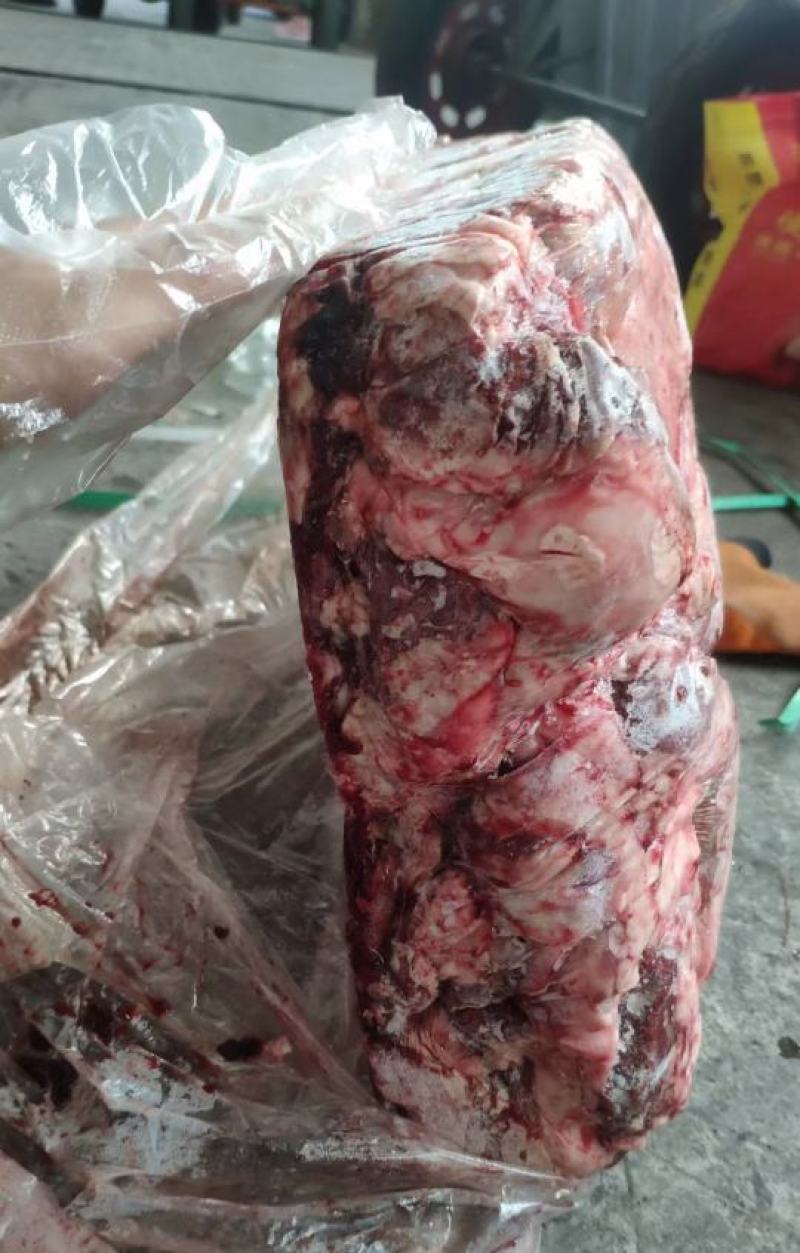 护心肉/母猪护心肉